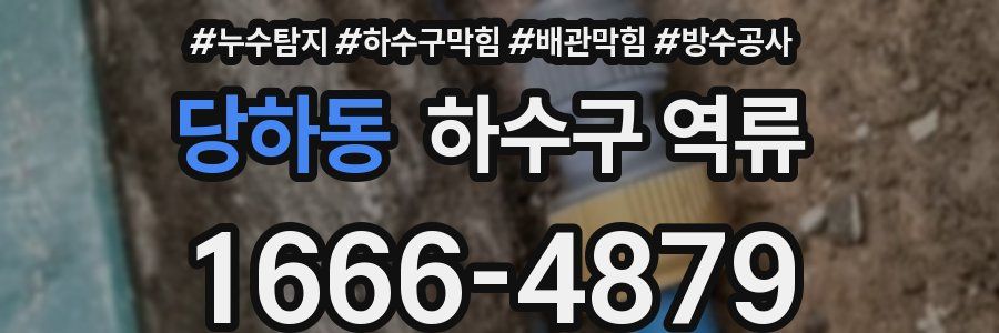 당하동 하수구 역류