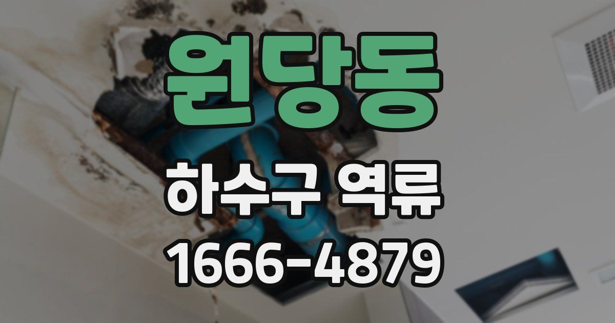 원당동 하수구 역류
