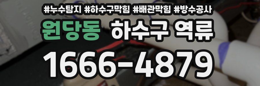 원당동 하수구 역류