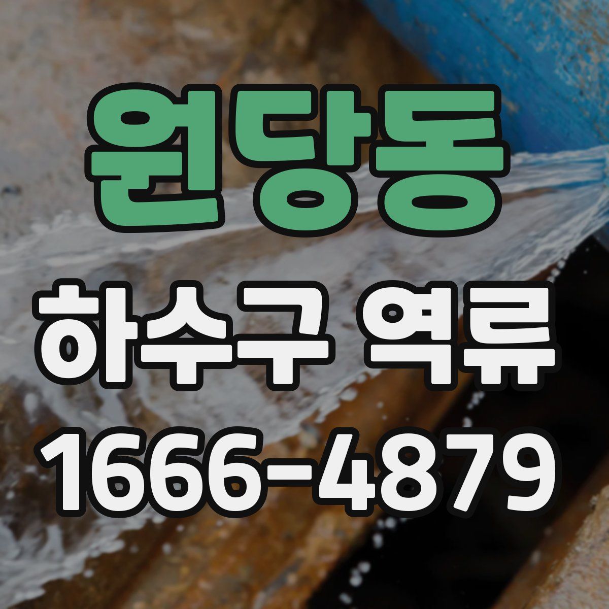 원당동 하수구 역류