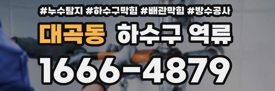 대곡동 하수구 역류