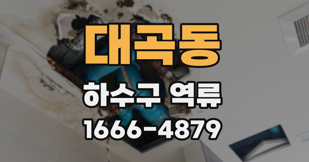 대곡동 하수구 역류