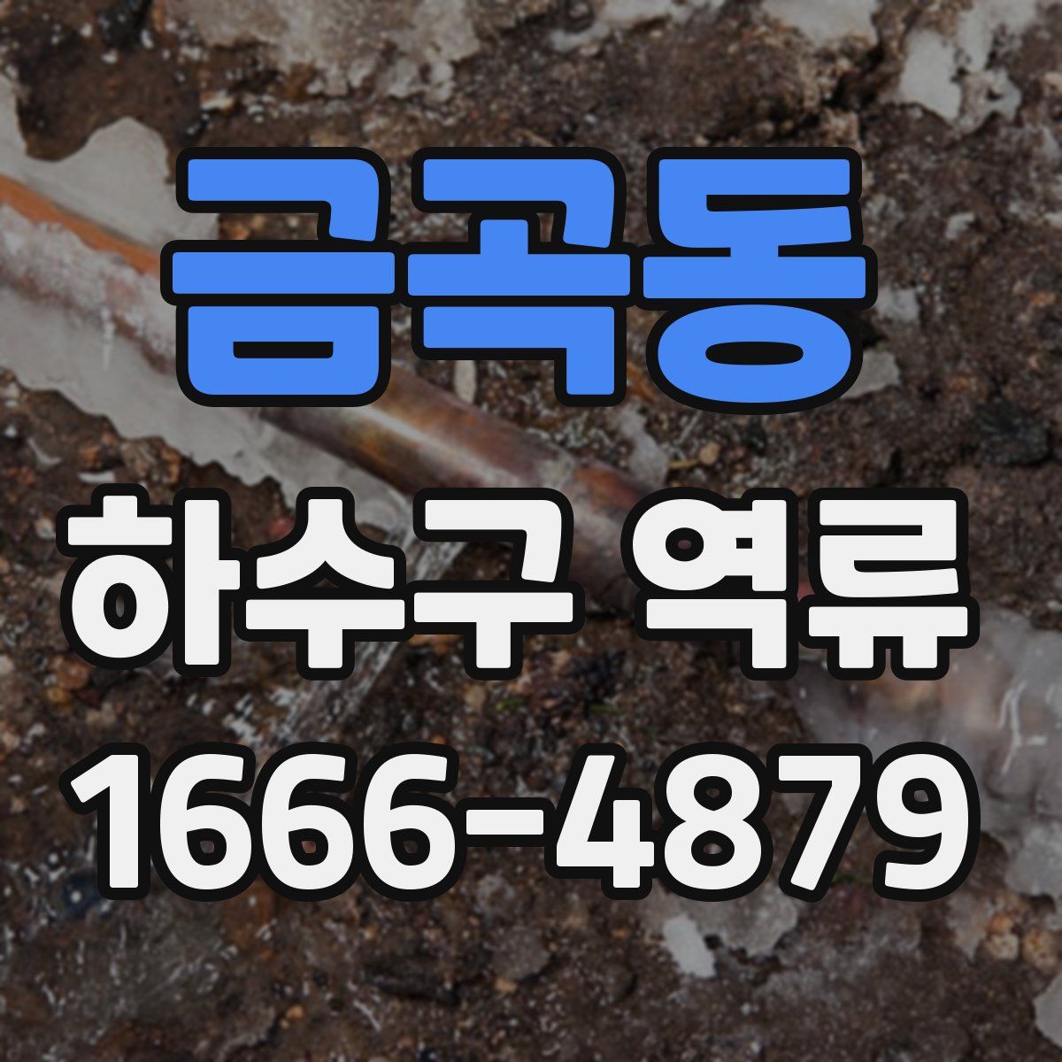 금곡동 하수구 역류