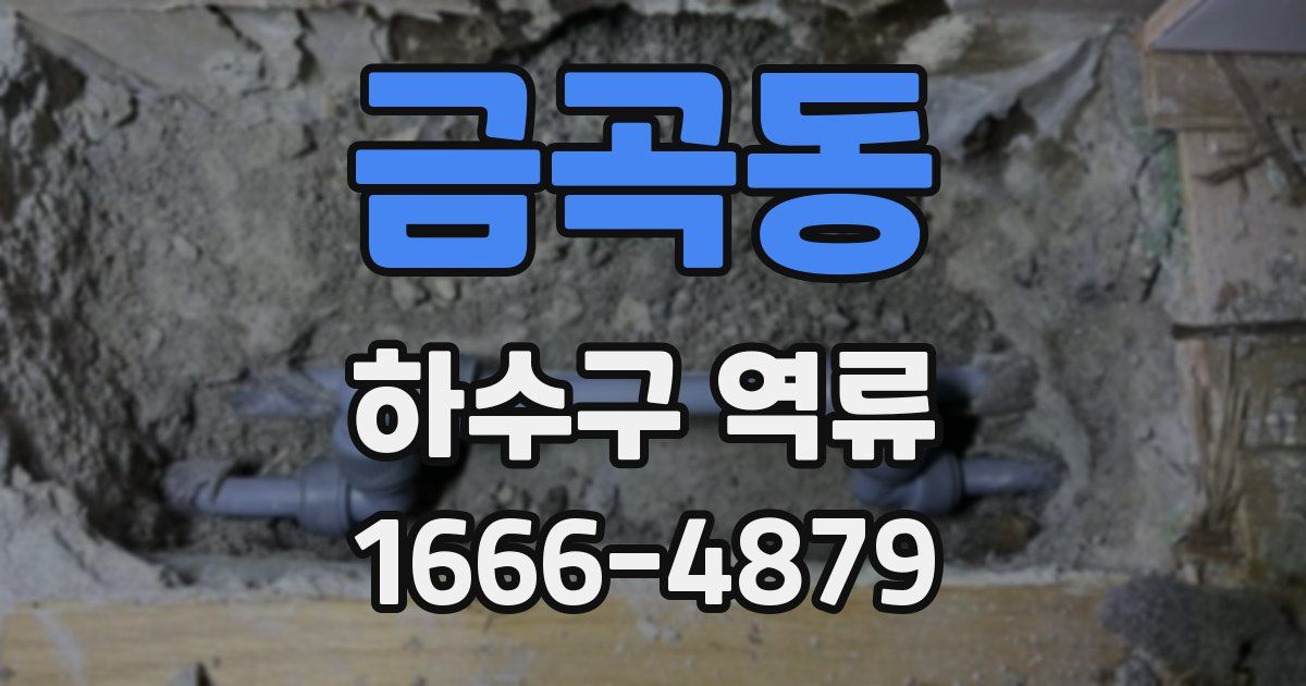 금곡동 하수구 역류