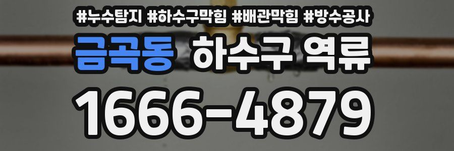 금곡동 하수구 역류