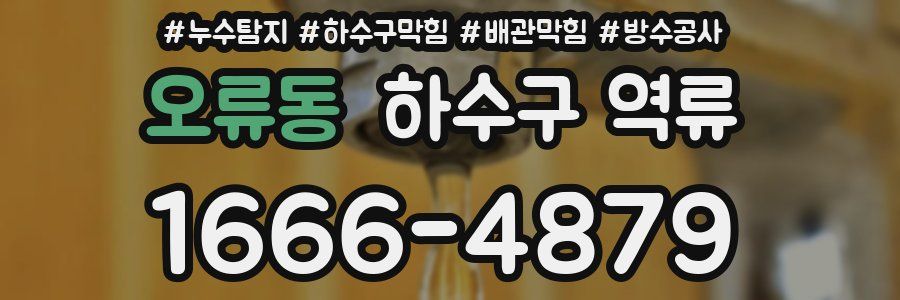 오류동 하수구 역류