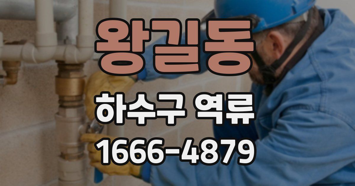 왕길동 하수구 역류