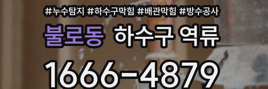불로동 하수구 역류
