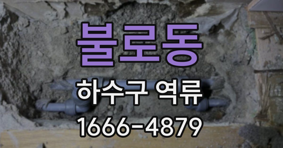 불로동 하수구 역류