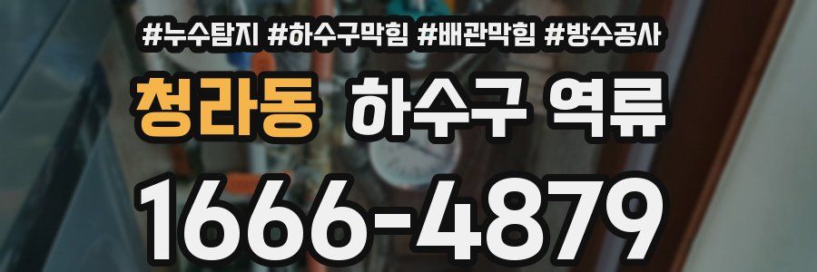 청라동 하수구 역류
