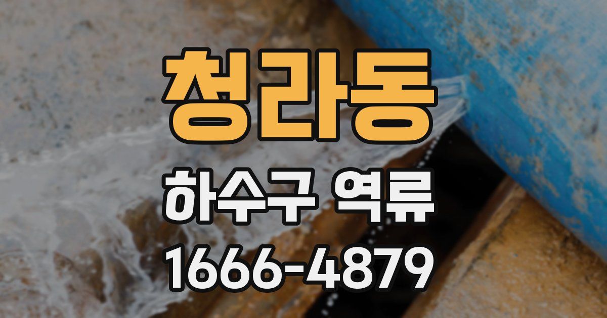 청라동 하수구 역류