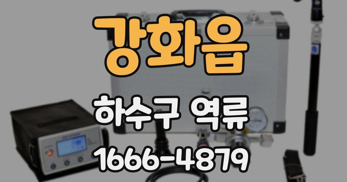 강화읍 하수구 역류