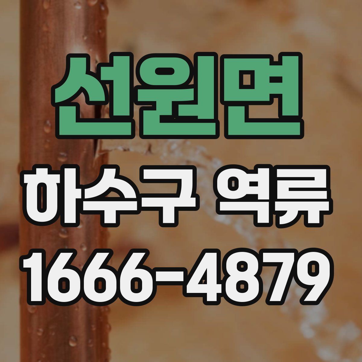 선원면 하수구 역류