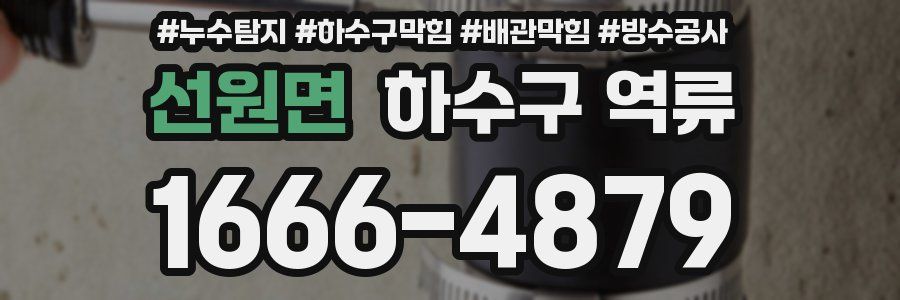 선원면 하수구 역류