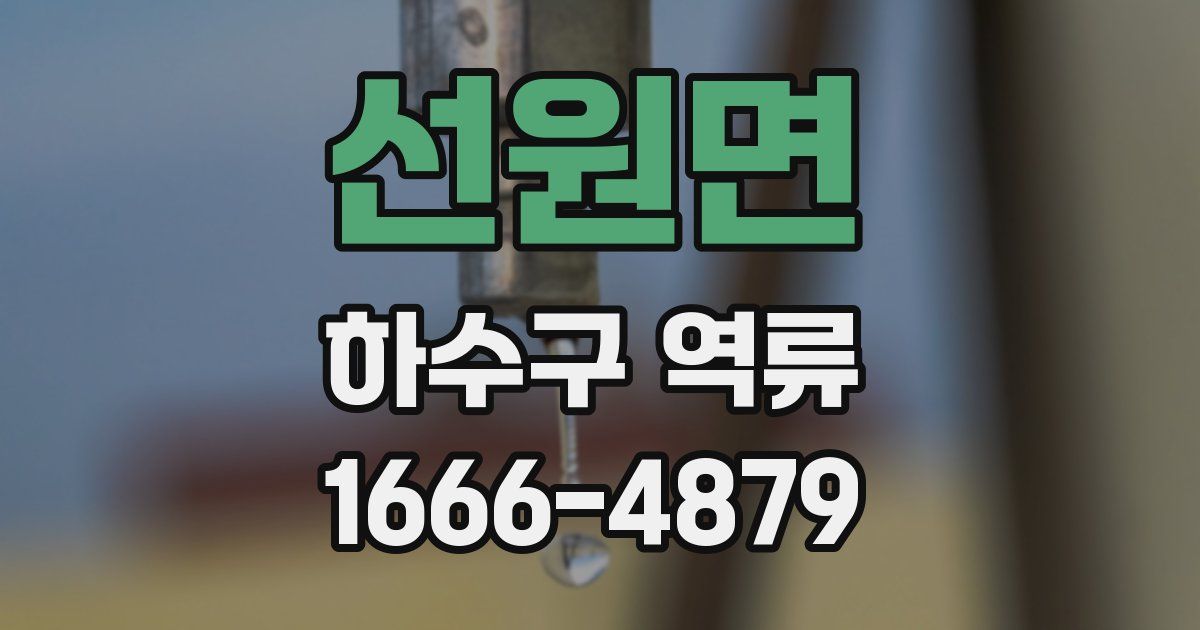선원면 하수구 역류