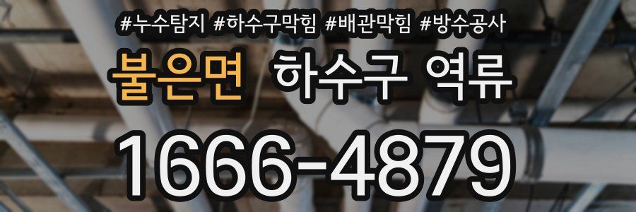 불은면 하수구 역류