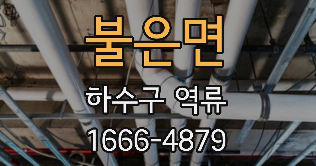 불은면 하수구 역류