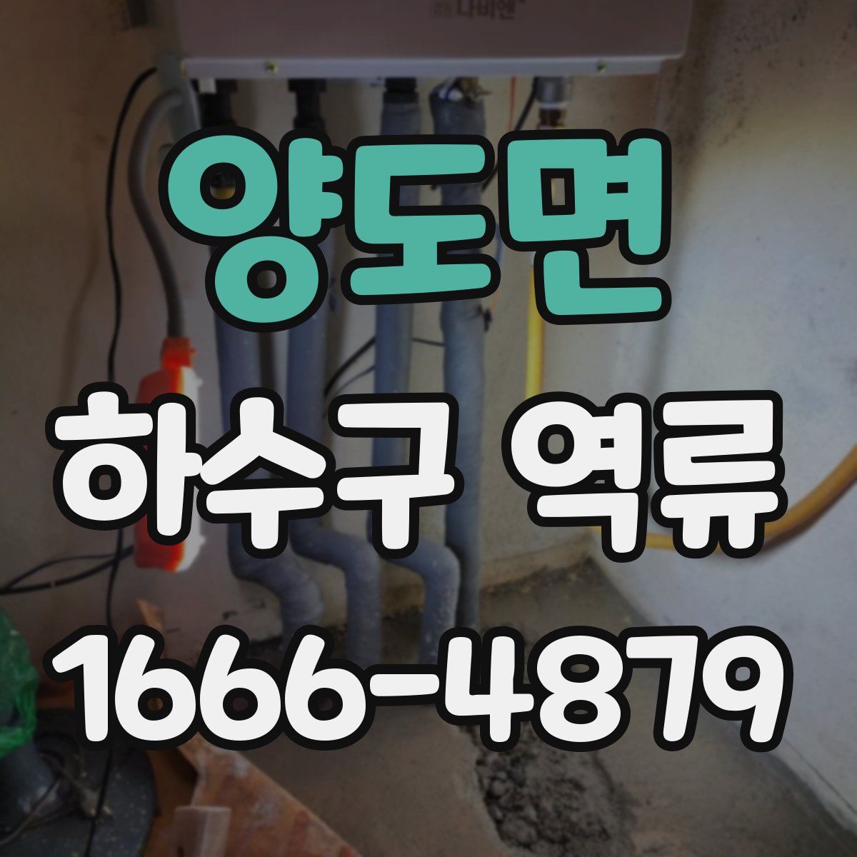 양도면 하수구 역류