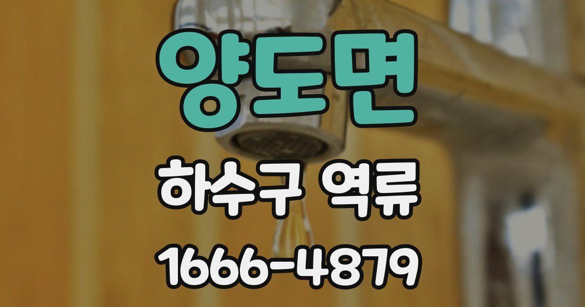 양도면 하수구 역류