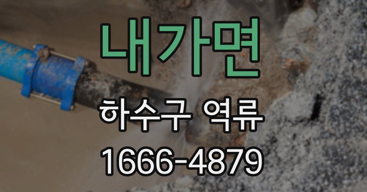 내가면 하수구 역류