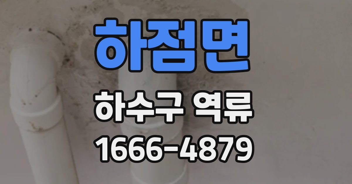 하점면 하수구 역류