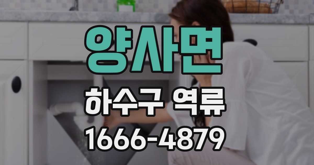 양사면 하수구 역류