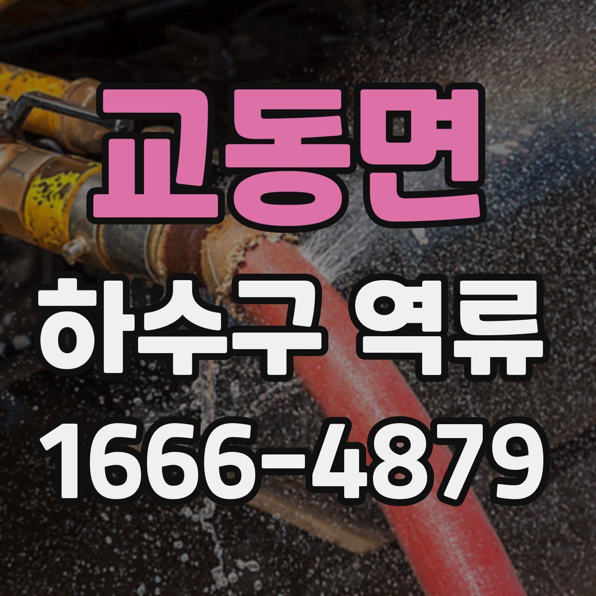 교동면 하수구 역류