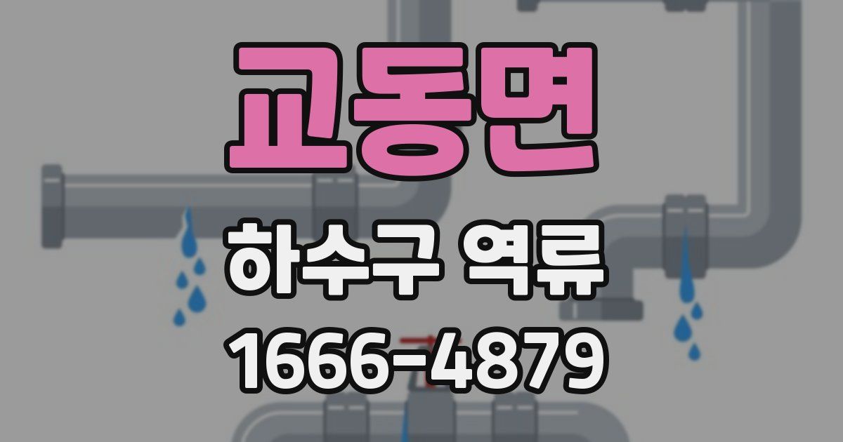 교동면 하수구 역류