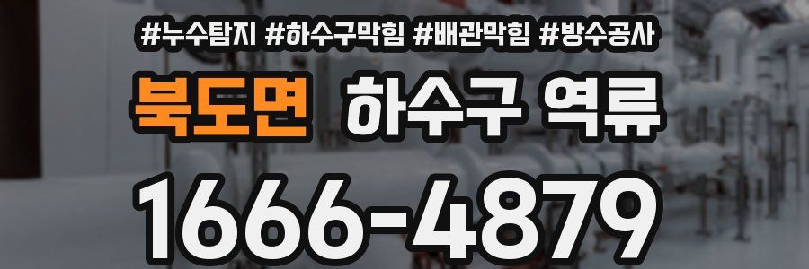 북도면 하수구 역류