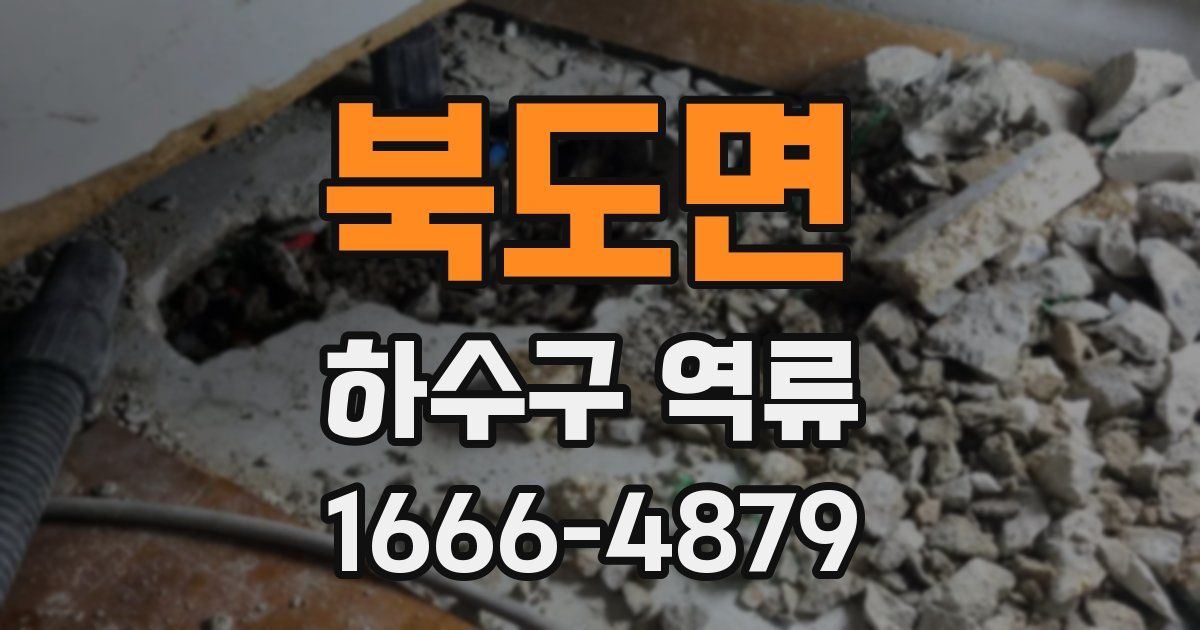 북도면 하수구 역류