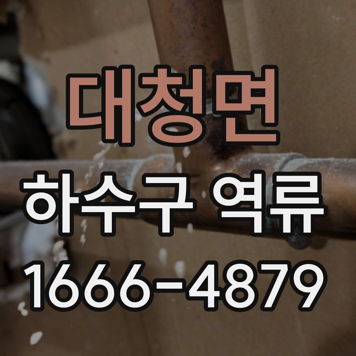 대청면 하수구 역류