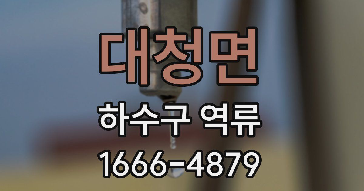 대청면 하수구 역류