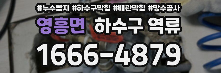 영흥면 하수구 역류