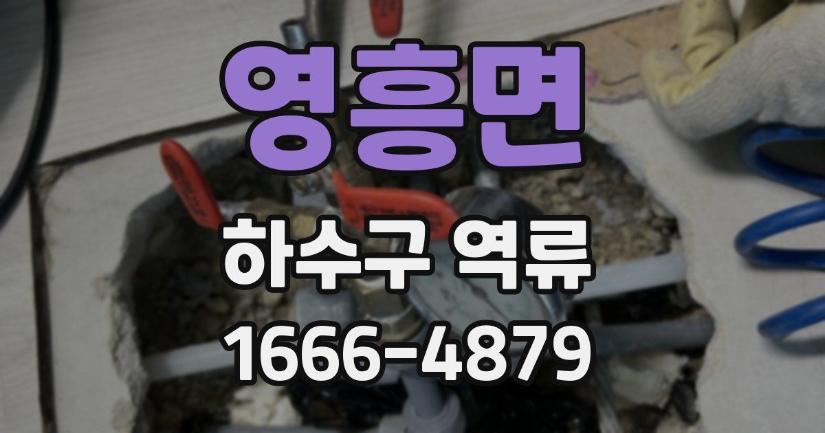 영흥면 하수구 역류