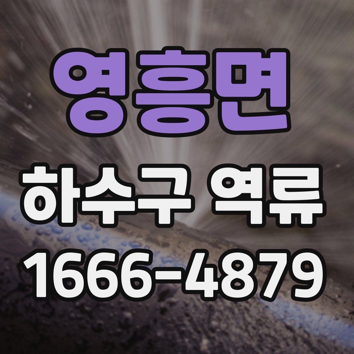 영흥면 하수구 역류