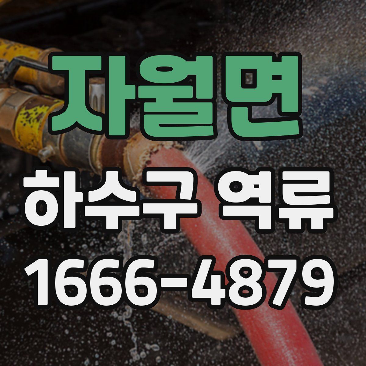 자월면 하수구 역류