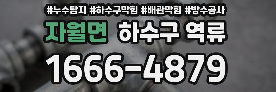 자월면 하수구 역류