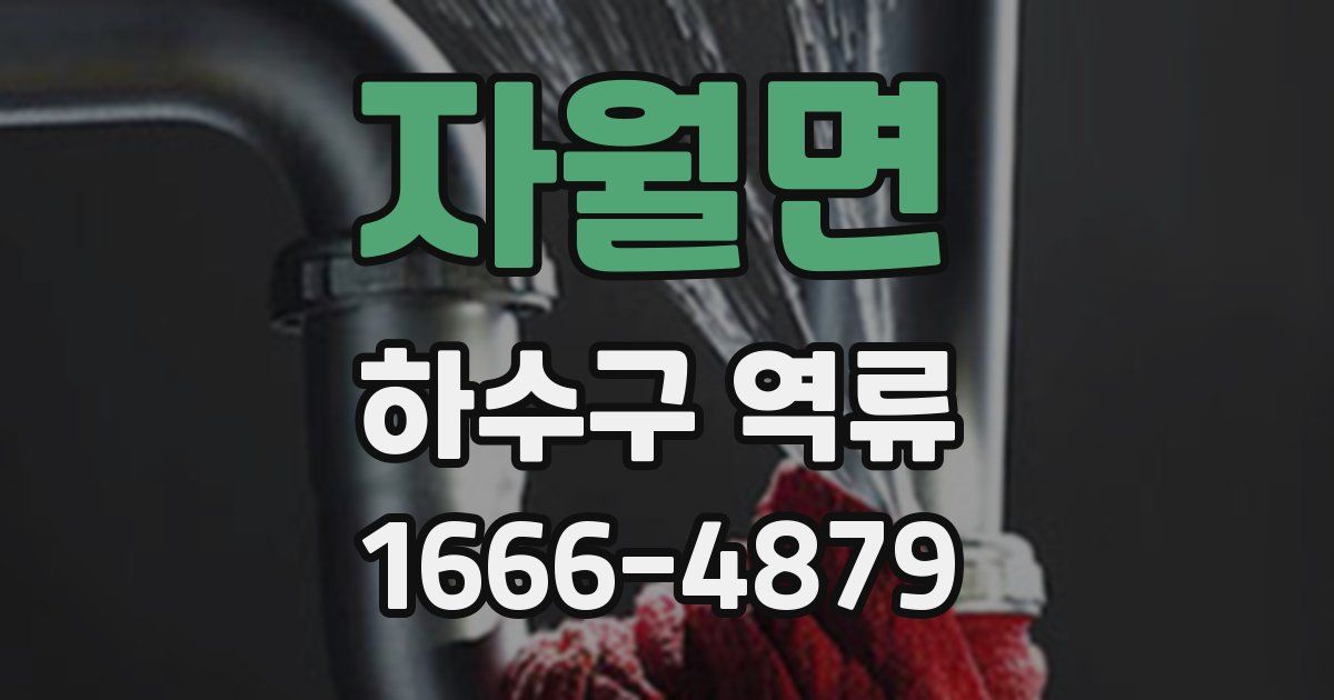 자월면 하수구 역류