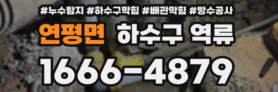 연평면 하수구 역류