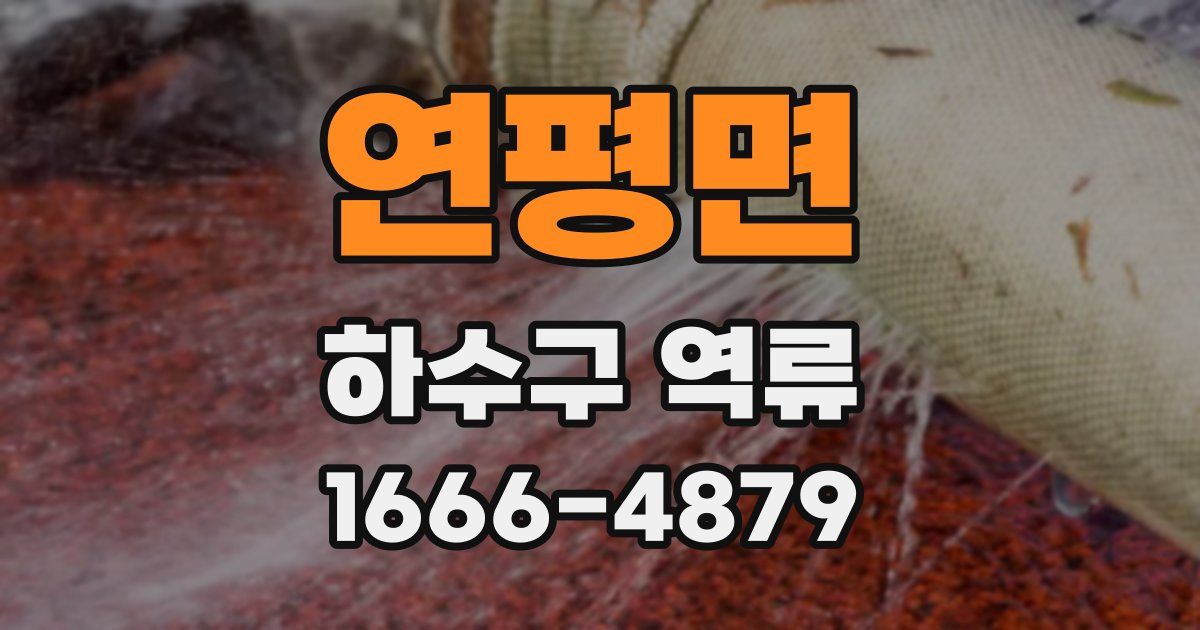 연평면 하수구 역류