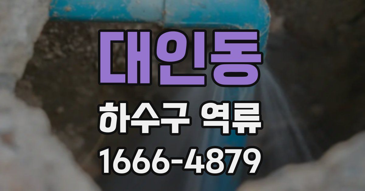 대인동 하수구 역류