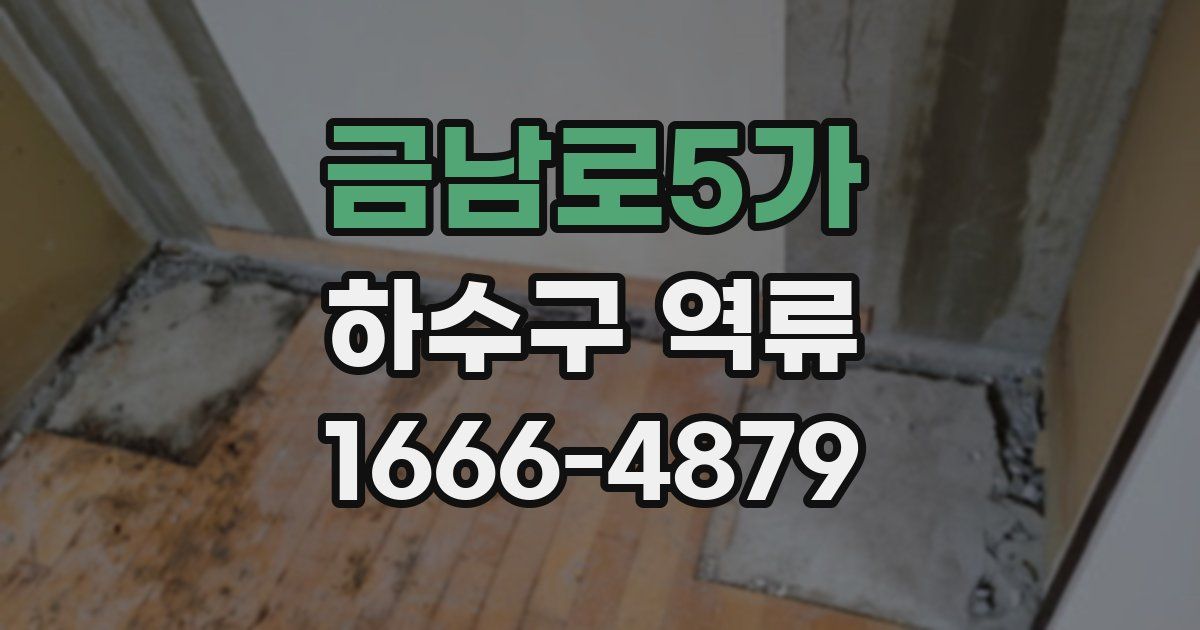 금남로5가 하수구 역류