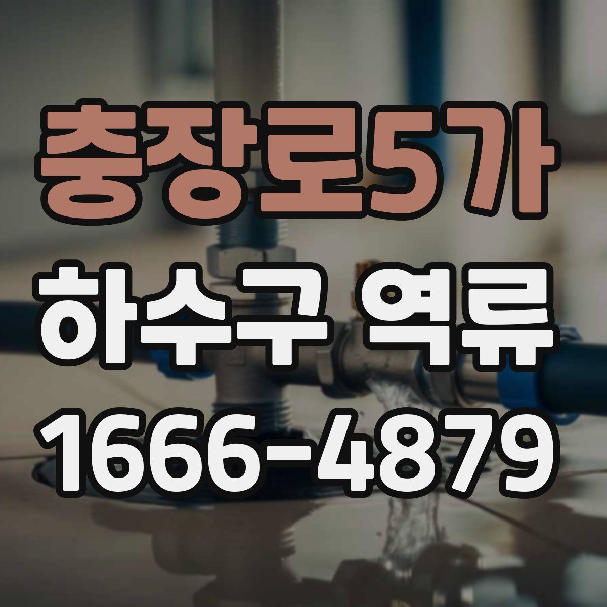 충장로5가 하수구 역류