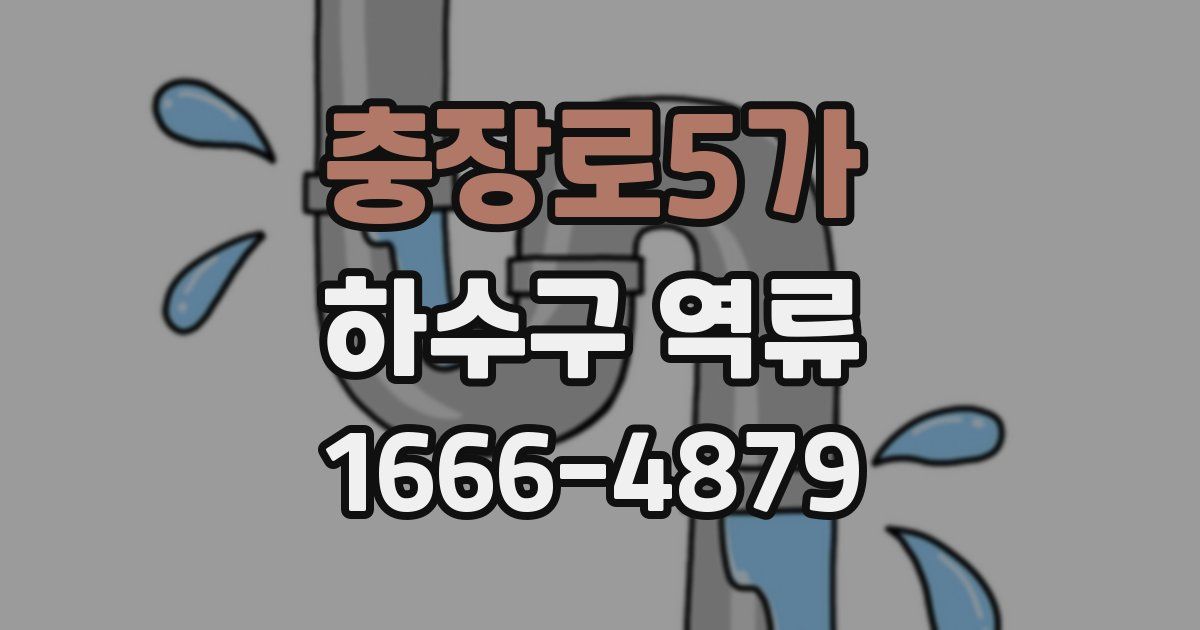 충장로5가 하수구 역류