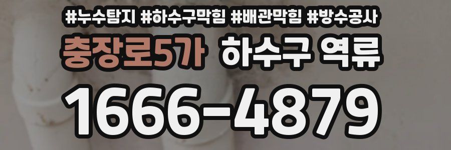 충장로5가 하수구 역류
