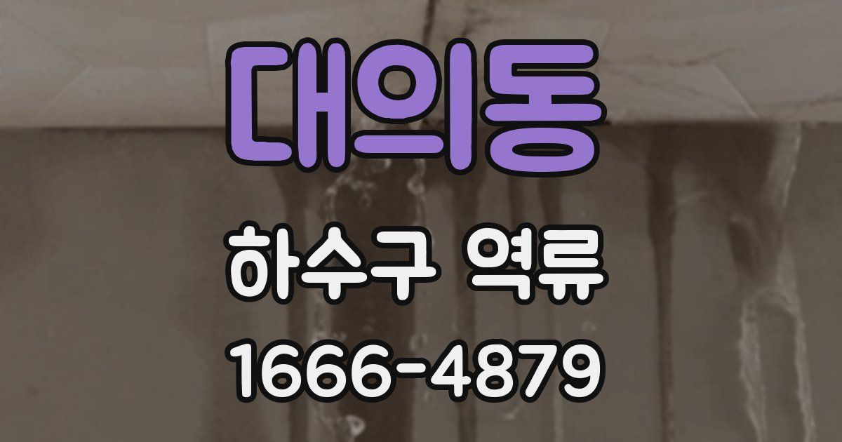 대의동 하수구 역류