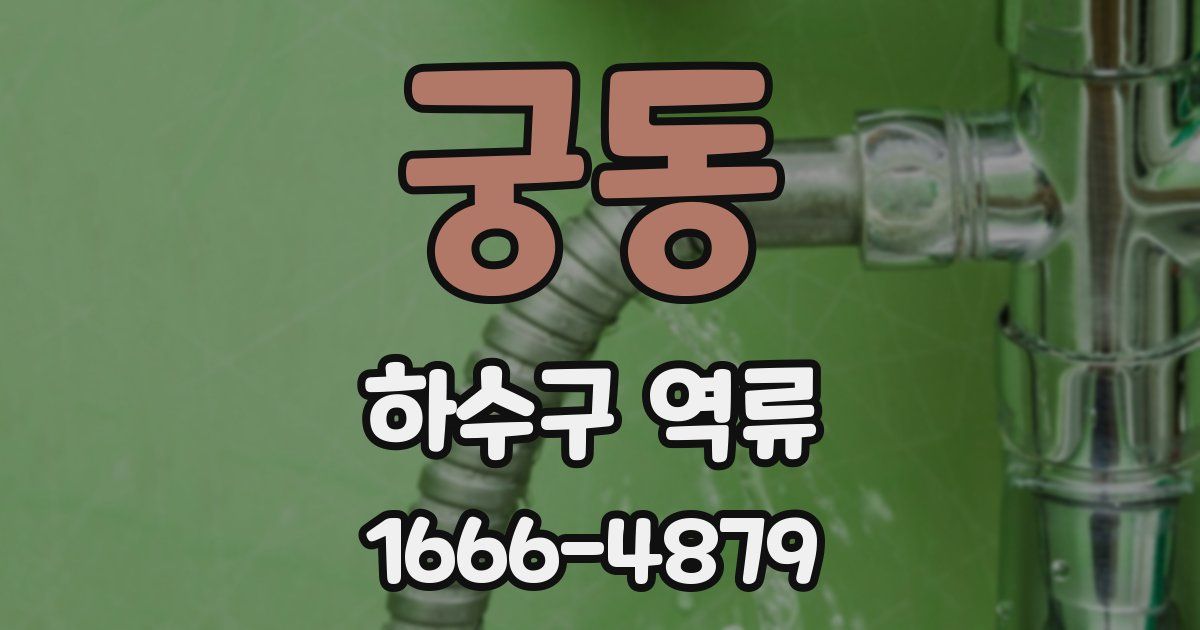 궁동 하수구 역류