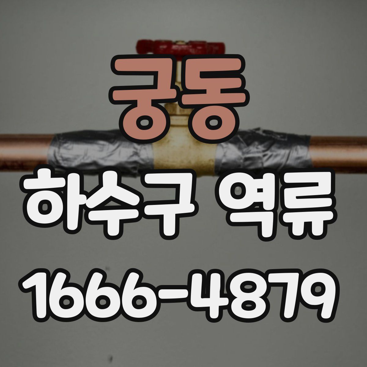 궁동 하수구 역류