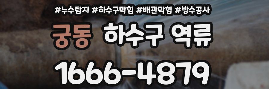 궁동 하수구 역류
