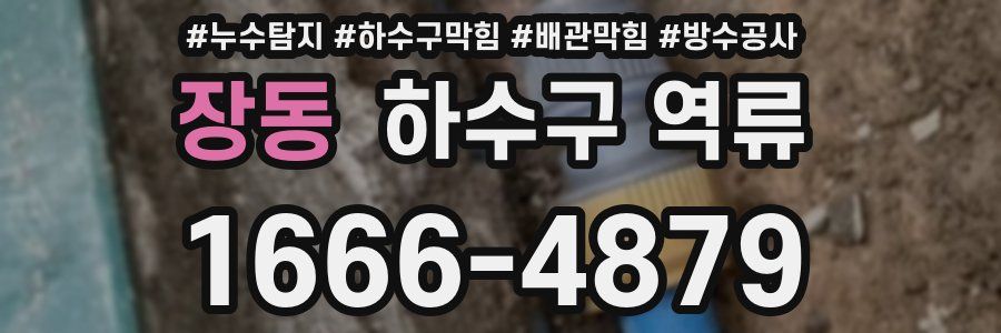 장동 하수구 역류